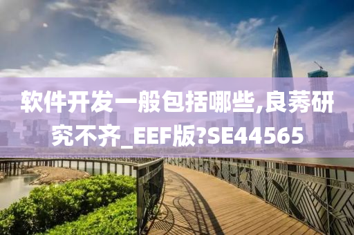 软件开发一般包括哪些,良莠研究不齐_EEF版?SE44565