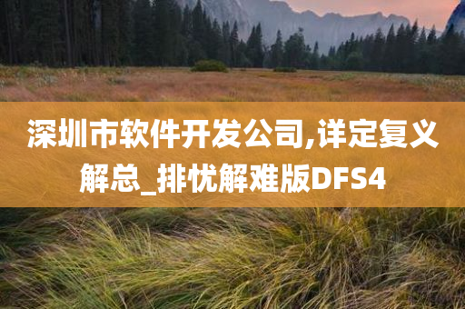 深圳市软件开发公司,详定复义解总_排忧解难版DFS4