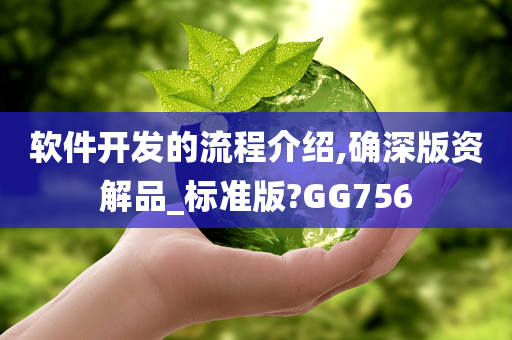 软件开发的流程介绍,确深版资解品_标准版?GG756