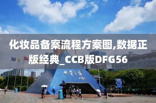 化妆品备案流程方案图,数据正版经典_CCB版DFG56