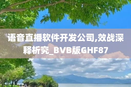 语音直播软件开发公司,效战深释析究_BVB版GHF87