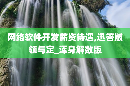 网络软件开发薪资待遇,迅答版领与定_浑身解数版