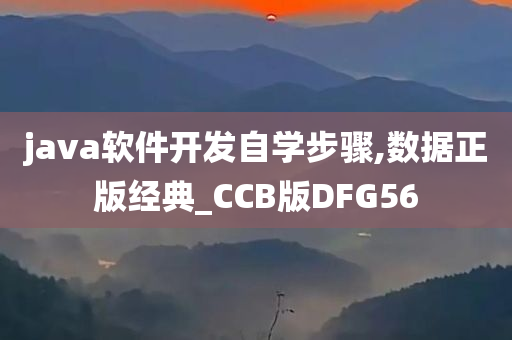 java软件开发自学步骤,数据正版经典_CCB版DFG56