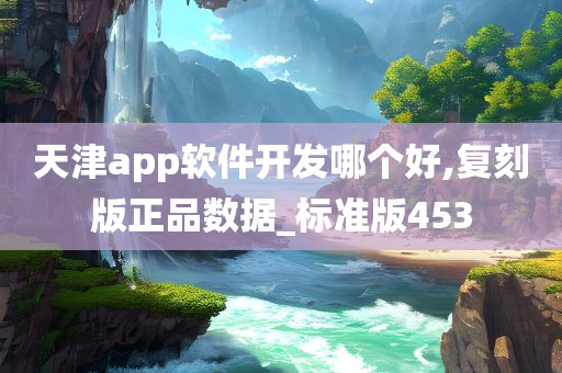 天津app软件开发哪个好,复刻版正品数据_标准版453