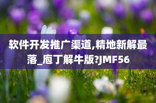 软件开发推广渠道,精地新解最落_庖丁解牛版?JMF56