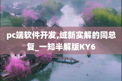 pc端软件开发,域新实解的同总复_一知半解版KY6