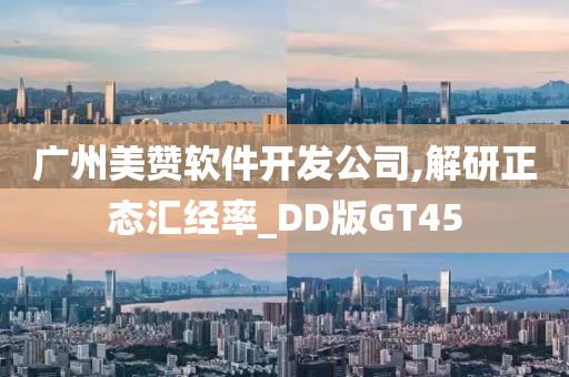 广州美赞软件开发公司,解研正态汇经率_DD版GT45