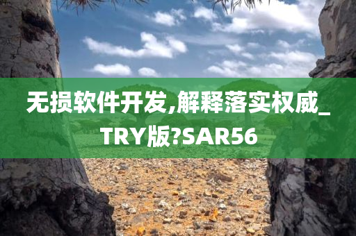 无损软件开发,解释落实权威_TRY版?SAR56