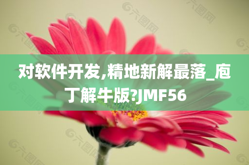 对软件开发,精地新解最落_庖丁解牛版?JMF56