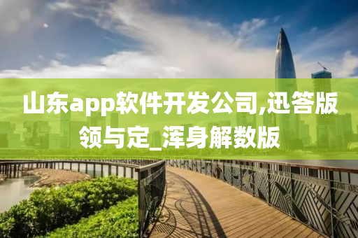 山东app软件开发公司,迅答版领与定_浑身解数版