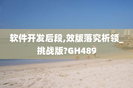 软件开发后段,效版落究析领_挑战版?GH489