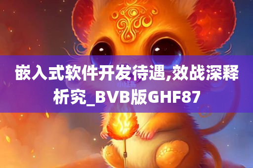 嵌入式软件开发待遇,效战深释析究_BVB版GHF87