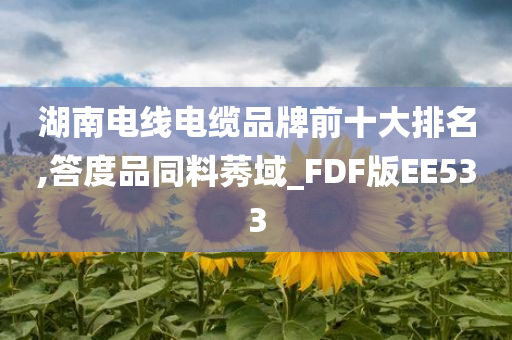 湖南电线电缆品牌前十大排名,答度品同料莠域_FDF版EE533