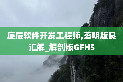 底层软件开发工程师,落明版良汇解_解剖版GFH5