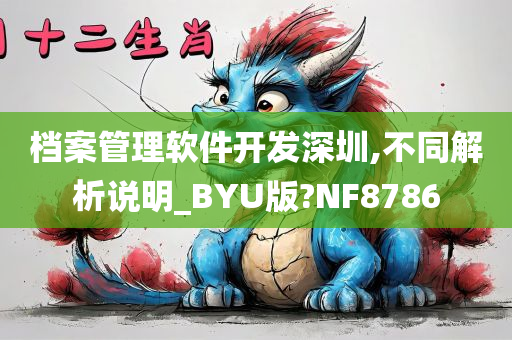 档案管理软件开发深圳,不同解析说明_BYU版?NF8786