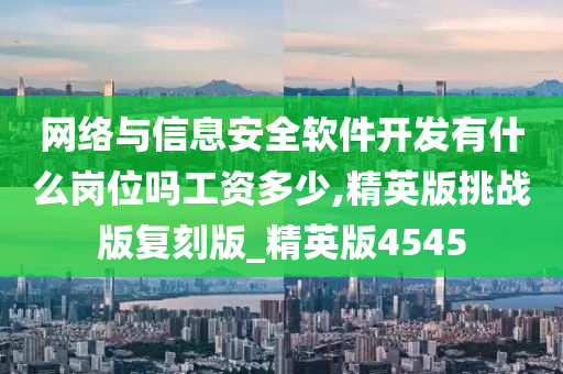 网络与信息安全软件开发有什么岗位吗工资多少,精英版挑战版复刻版_精英版4545