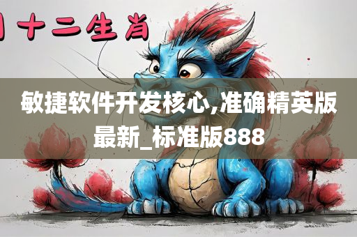 敏捷软件开发核心,准确精英版最新_标准版888