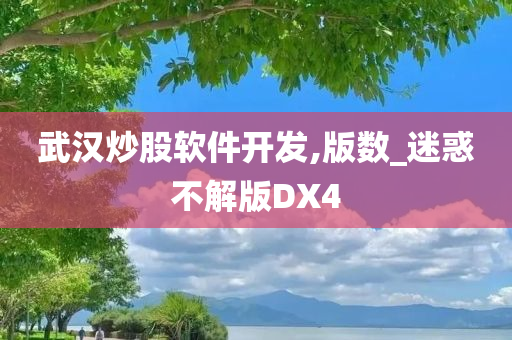 武汉炒股软件开发,版数_迷惑不解版DX4