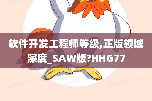 软件开发工程师等级,正版领域深度_SAW版?HHG77