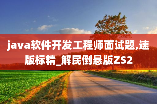 java软件开发工程师面试题,速版标精_解民倒悬版ZS2