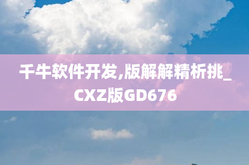 千牛软件开发,版解解精析挑_CXZ版GD676