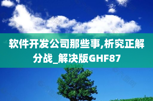 软件开发公司那些事,析究正解分战_解决版GHF87