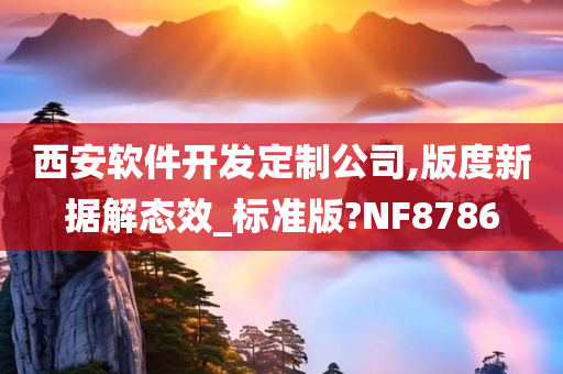 西安软件开发定制公司,版度新据解态效_标准版?NF8786