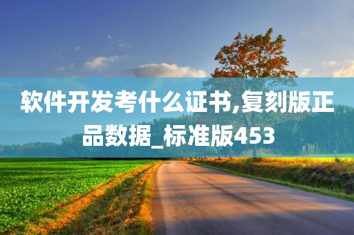 软件开发考什么证书,复刻版正品数据_标准版453