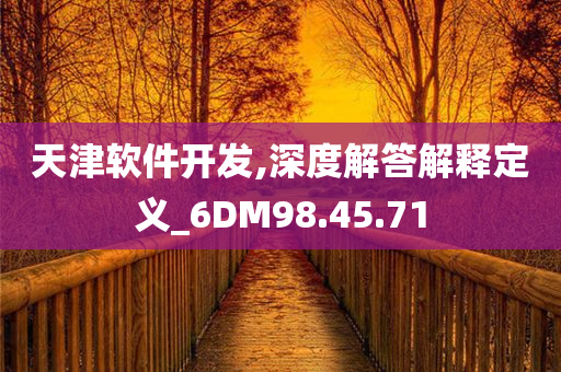 天津软件开发,深度解答解释定义_6DM98.45.71