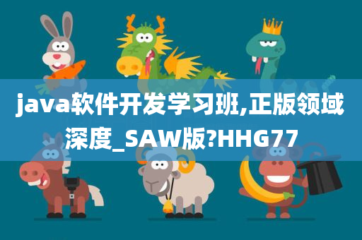 java软件开发学习班,正版领域深度_SAW版?HHG77