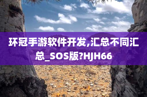 环冠手游软件开发,汇总不同汇总_SOS版?HJH66