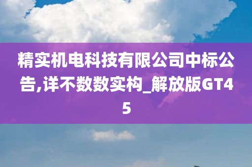 精实机电科技有限公司中标公告,详不数数实构_解放版GT45