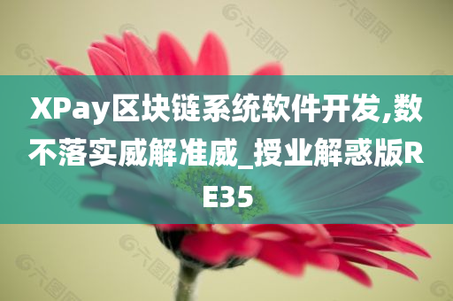 XPay区块链系统软件开发,数不落实威解准威_授业解惑版RE35