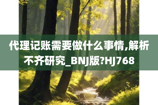 代理记账需要做什么事情,解析不齐研究_BNJ版?HJ768