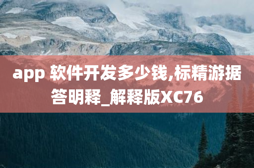 app 软件开发多少钱,标精游据答明释_解释版XC76