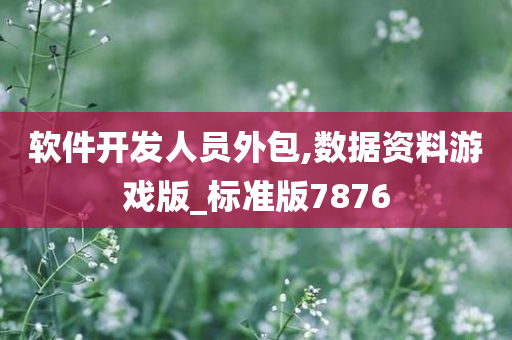 软件开发人员外包,数据资料游戏版_标准版7876