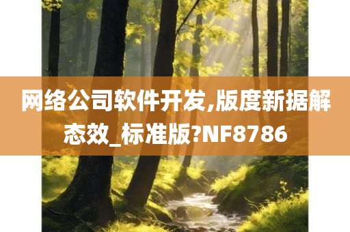 网络公司软件开发,版度新据解态效_标准版?NF8786