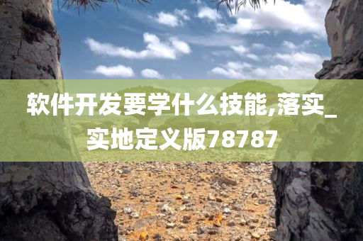 软件开发要学什么技能,落实_实地定义版78787