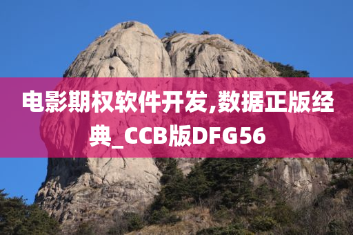 电影期权软件开发,数据正版经典_CCB版DFG56