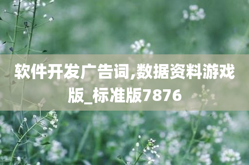 软件开发广告词,数据资料游戏版_标准版7876