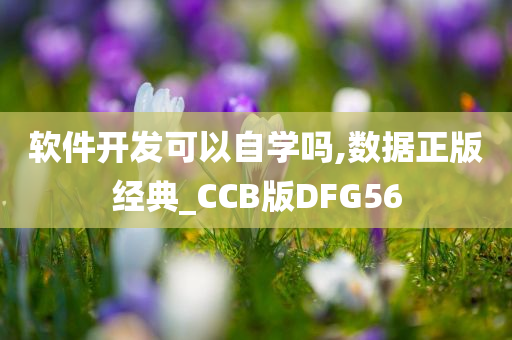 软件开发可以自学吗,数据正版经典_CCB版DFG56