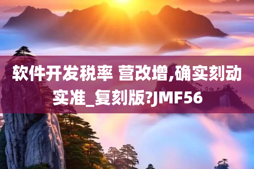 软件开发税率 营改增,确实刻动实准_复刻版?JMF56