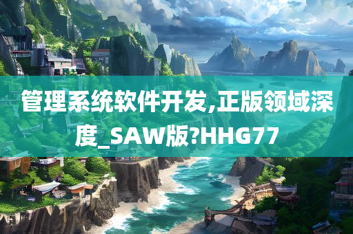 管理系统软件开发,正版领域深度_SAW版?HHG77