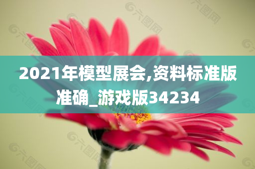 2021年模型展会,资料标准版准确_游戏版34234