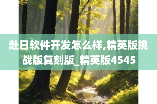 赴日软件开发怎么样,精英版挑战版复刻版_精英版4545