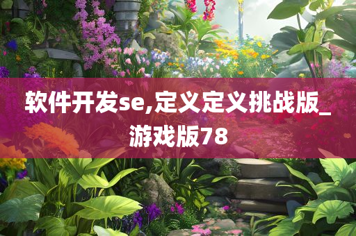 软件开发se,定义定义挑战版_游戏版78