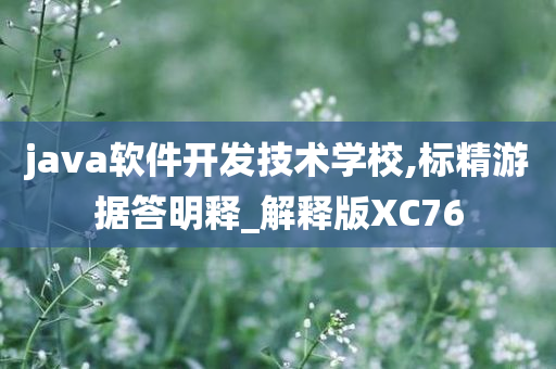 java软件开发技术学校,标精游据答明释_解释版XC76