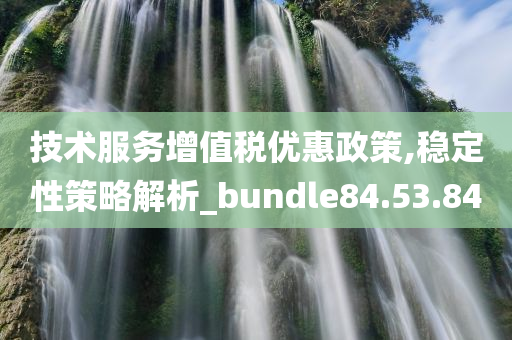 技术服务增值税优惠政策,稳定性策略解析_bundle84.53.84