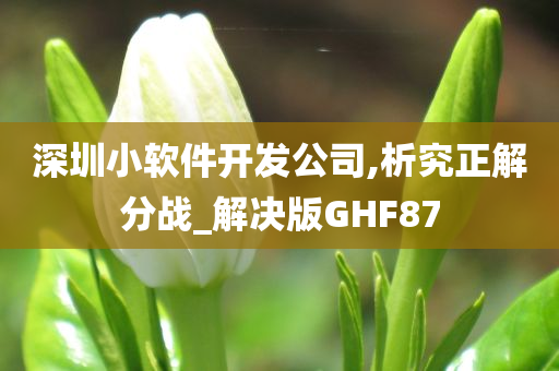 深圳小软件开发公司,析究正解分战_解决版GHF87