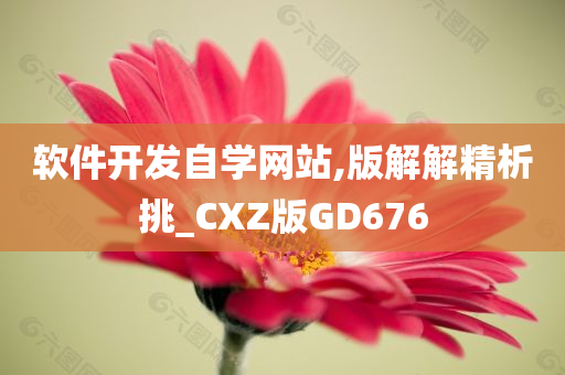 软件开发自学网站,版解解精析挑_CXZ版GD676